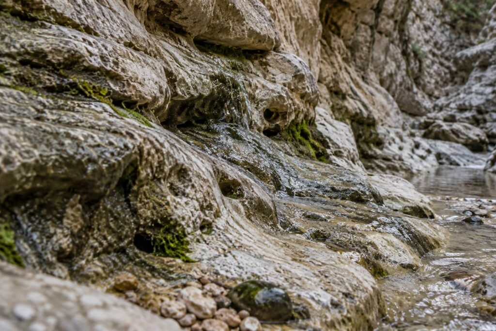 Illustration de détail sur le sujet : Ardèche (07) : comment les gorges se sont creusées dans le calcaire